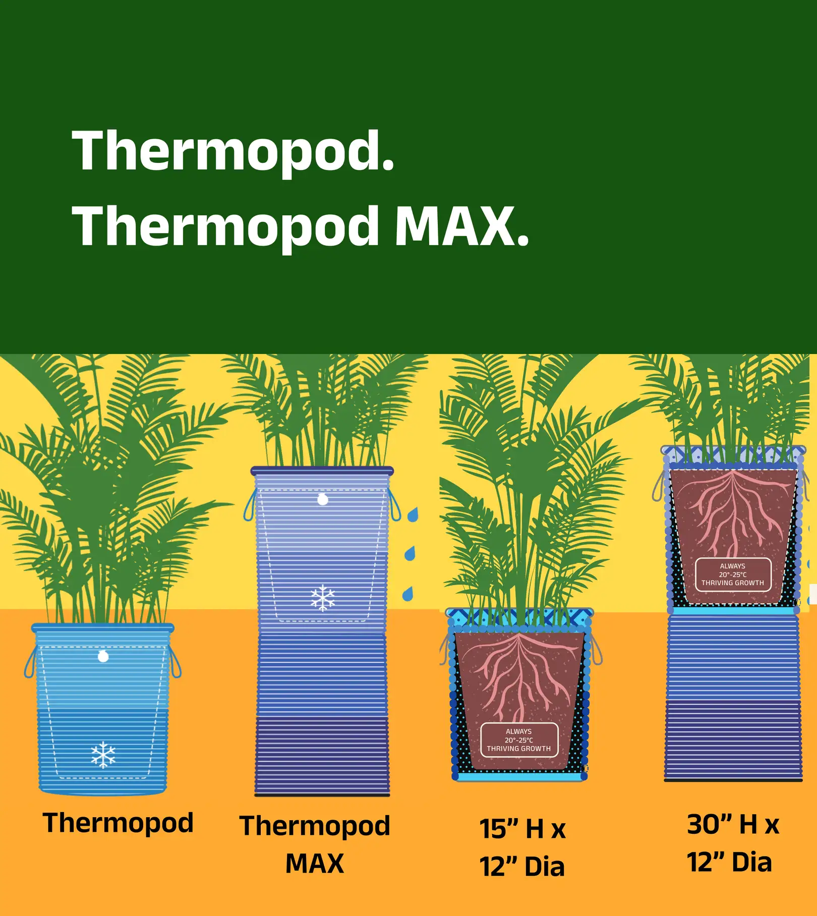 Products info card 5
