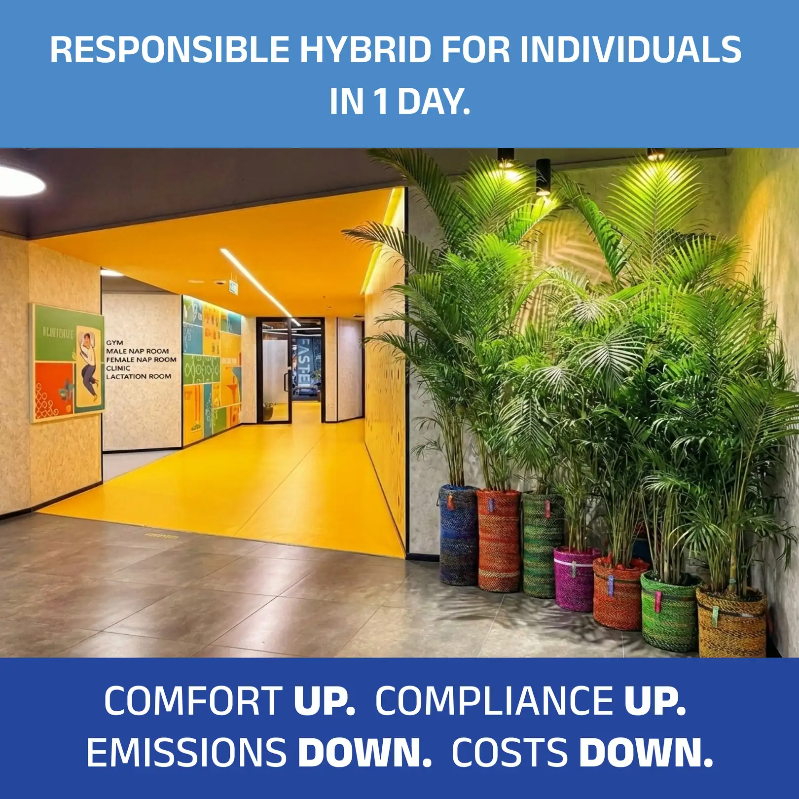 After: biothermal microconditioning deployed