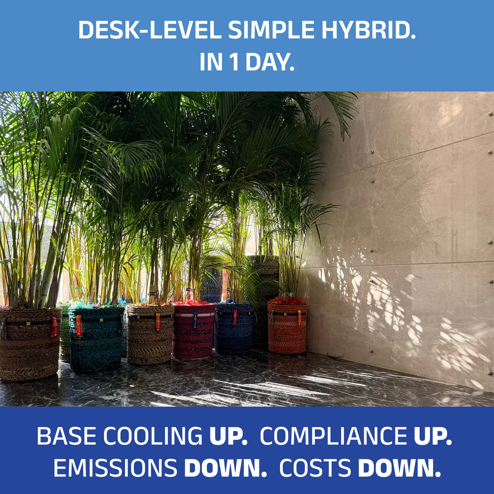 After: biothermal microconditioning deployed