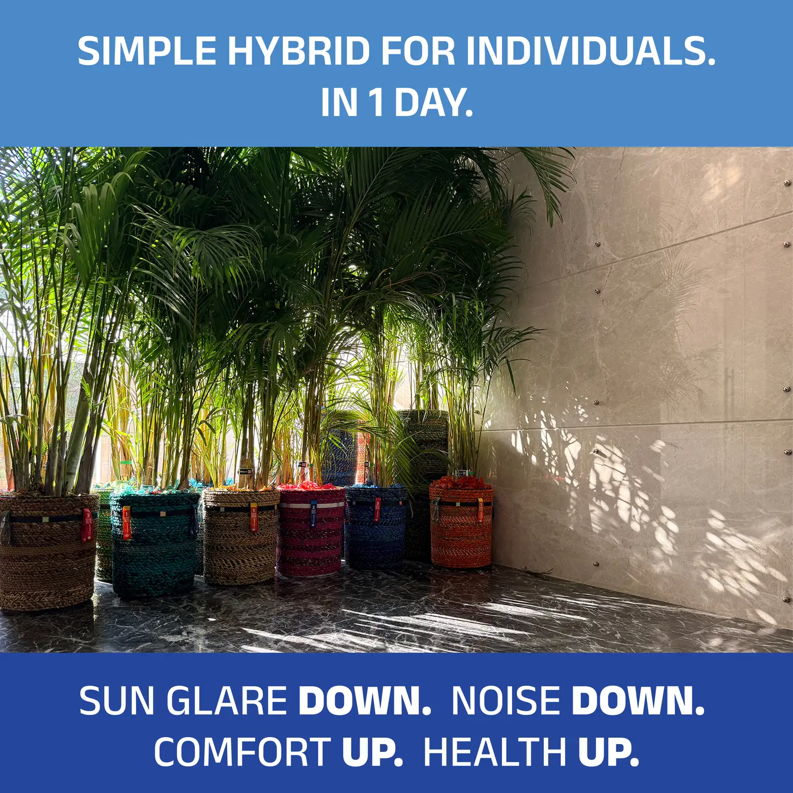 After: biothermal microconditioning deployed