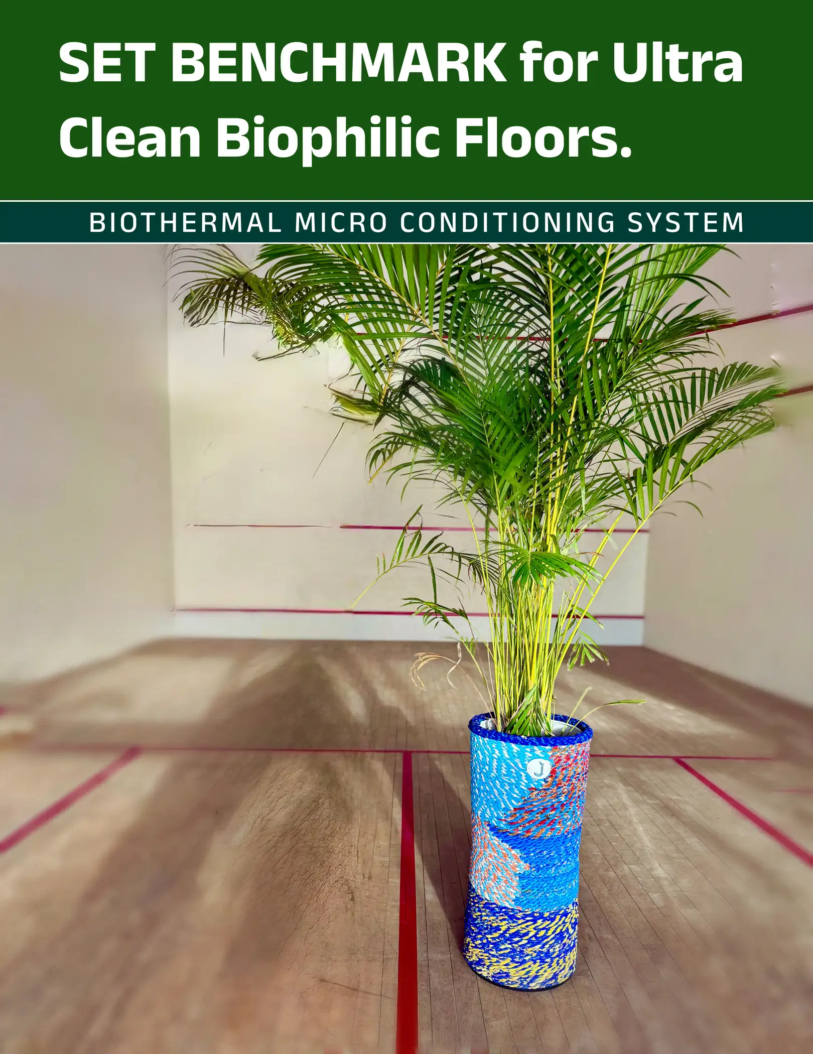 SET BENCHMARK for Ultra Clean Biophilic